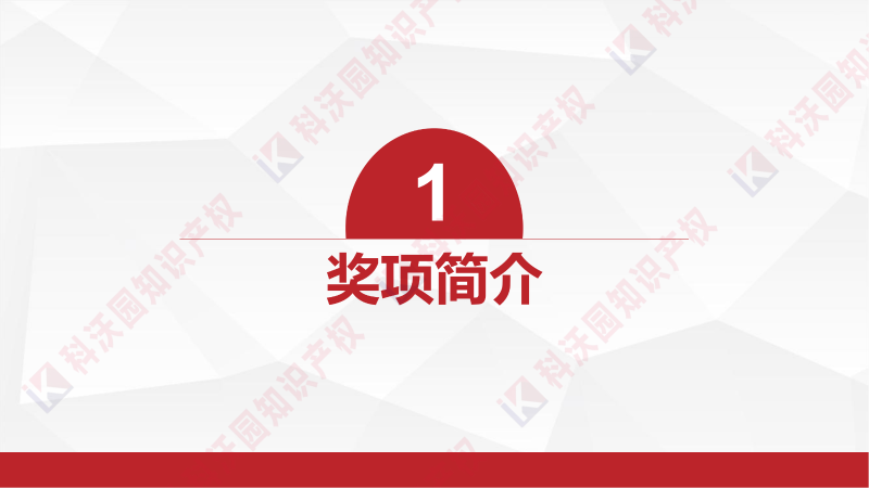 中國產(chǎn)學研合作創(chuàng)新與促進獎_02