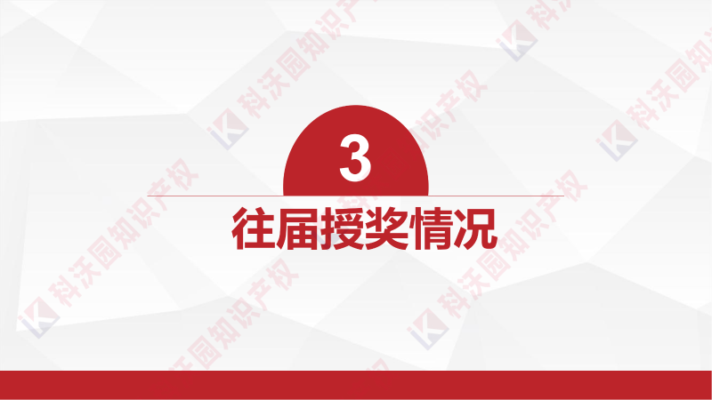 中國產(chǎn)學研合作創(chuàng)新與促進獎_09